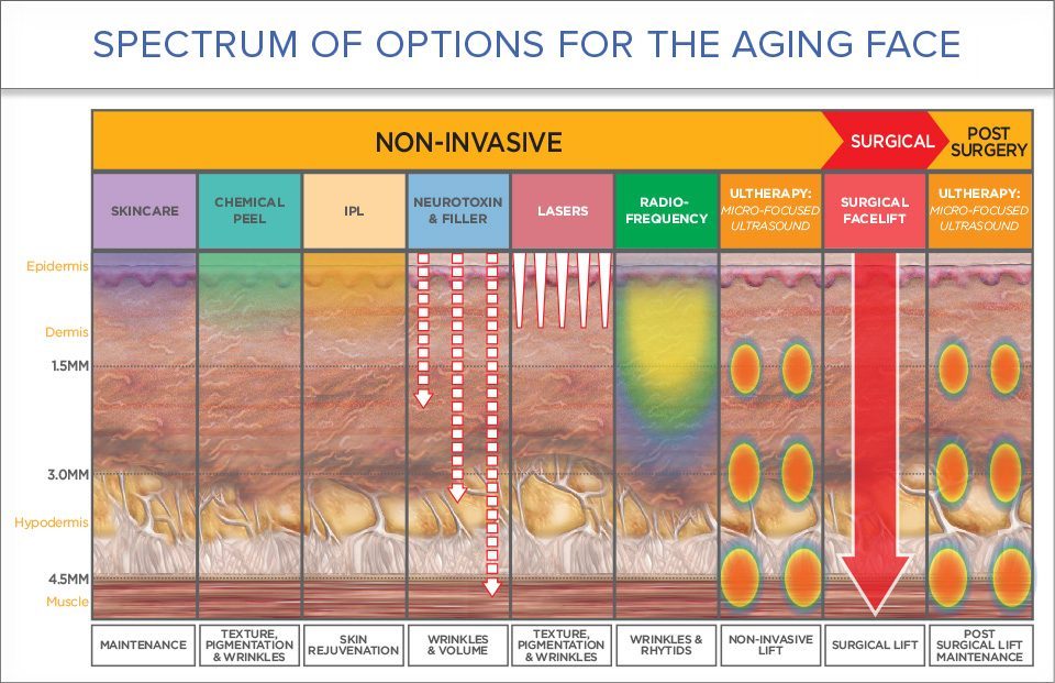 Spectrum of Options for the Aging face
